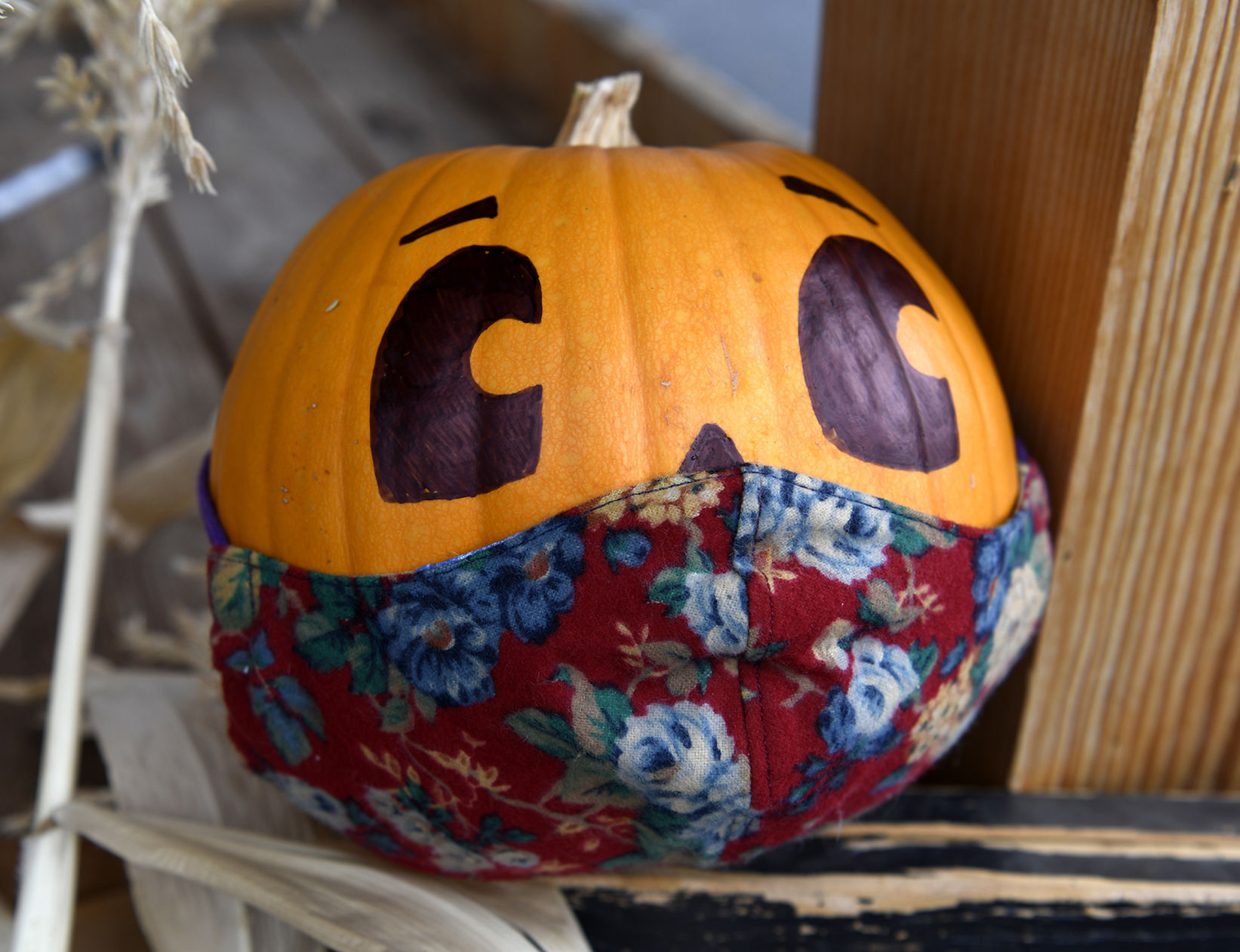 PEAS Pumpkins 2